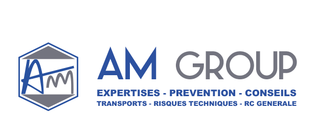 Logo AM Group